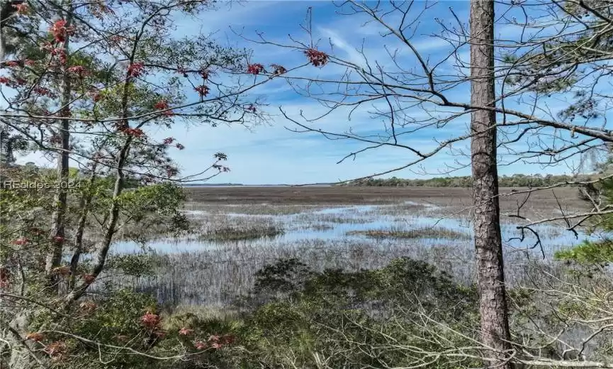 Beaufort, South Carolina 29907, ,Land,For Sale,442720