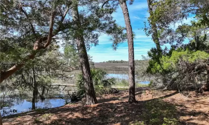 Beaufort, South Carolina 29907, ,Land,For Sale,442720