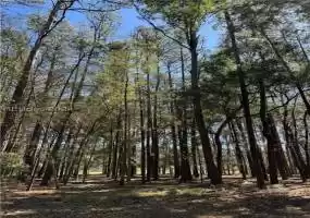 Daufuskie Island, South Carolina 29915, ,Land,For Sale,442752