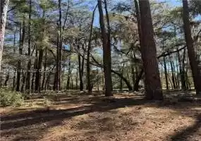 Daufuskie Island, South Carolina 29915, ,Land,For Sale,442784