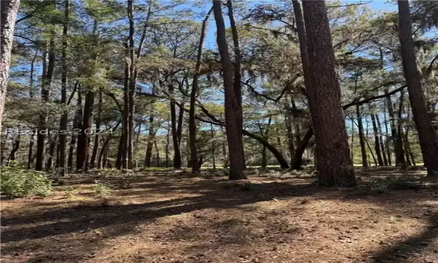 Daufuskie Island, South Carolina 29915, ,Land,For Sale,442784