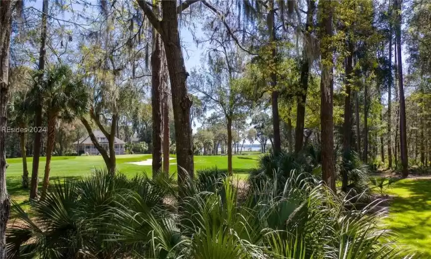 Daufuskie Island, South Carolina 29915, 3 Bedrooms Bedrooms, ,3 BathroomsBathrooms,Residential,For Sale,442758