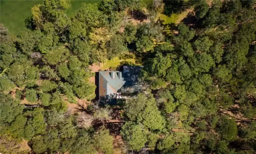 Daufuskie Island, South Carolina 29915, 3 Bedrooms Bedrooms, ,3 BathroomsBathrooms,Residential,For Sale,442758