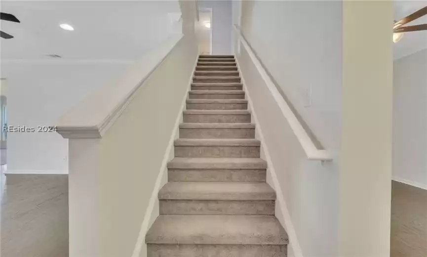 Stairs featuring carpeting leading to the second story
