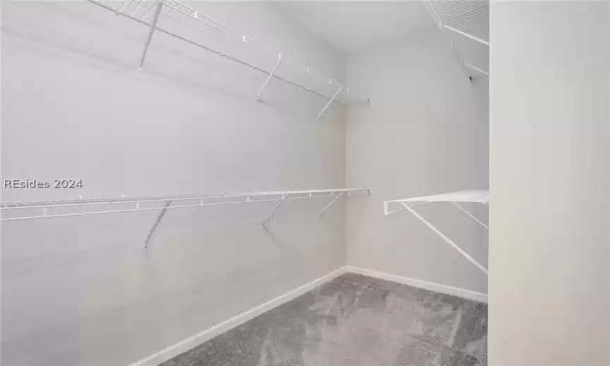 Large walk in closet in primary bedroom with carpet flooring