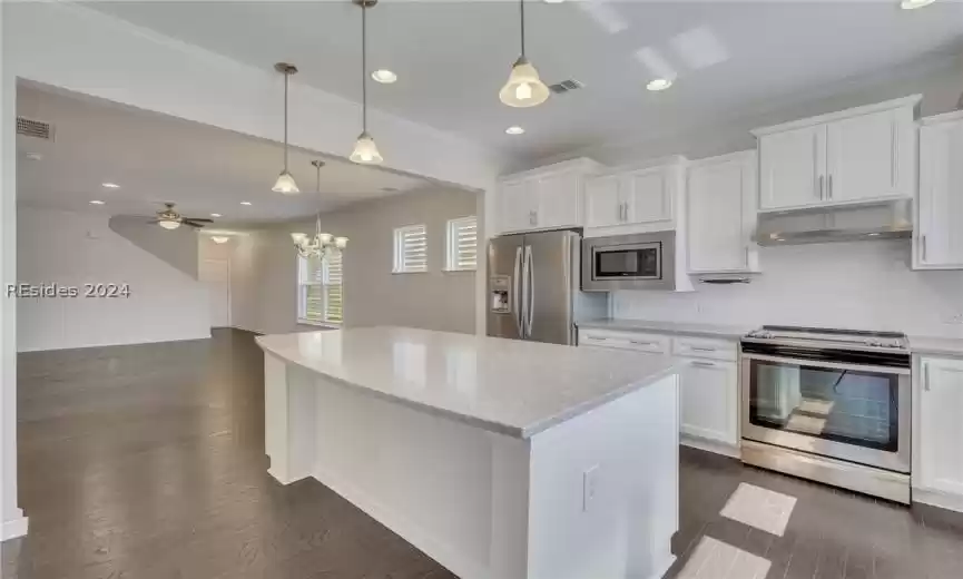 Kitchen featuring appliances with stainless steel finishes, dark hardwood / wood-style flooring, decorative light fixtures, and ceiling fan with notable chandelier
