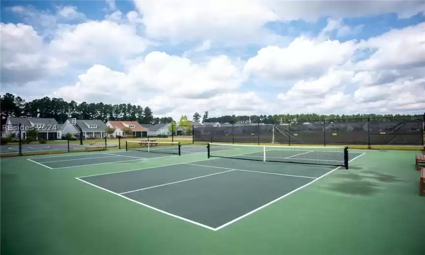 Pickle Ball