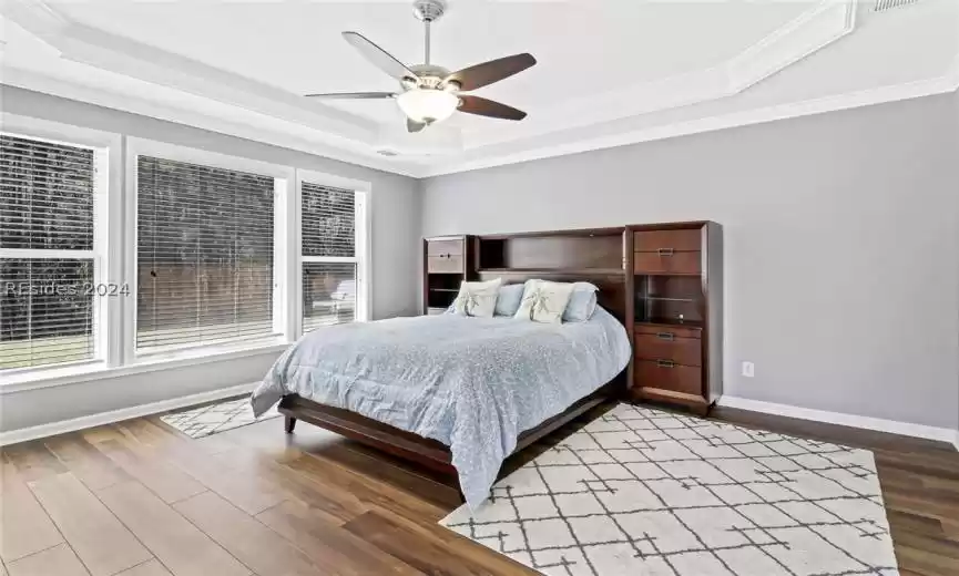 Master bedroom with tray ceiling
