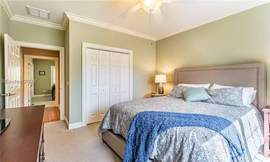 Carpeted bedroom featuring crown molding, a closet, and ceiling fan