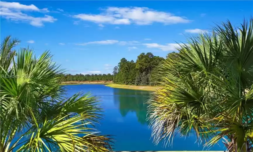 Hardeeville, South Carolina 29927, 4 Bedrooms Bedrooms, ,3 BathroomsBathrooms,Residential,For Sale,442893