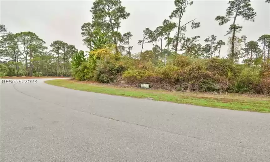 Saint Helena Island, South Carolina 29920, ,Land,For Sale,431699