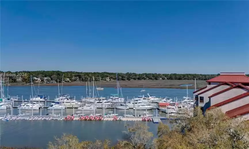 Hilton Head Island, South Carolina 29928, 1 Bedroom Bedrooms, ,1 BathroomBathrooms,Residential,For Sale,442913