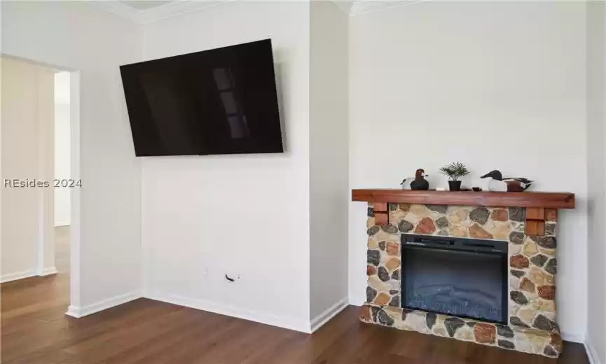 Living room featuring crown molding, a fireplace, and dark wood-type flooring