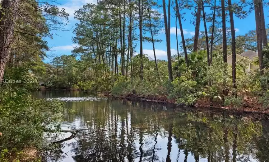 Hilton Head Island, South Carolina 29928, 3 Bedrooms Bedrooms, ,3 BathroomsBathrooms,Residential,For Sale,441816