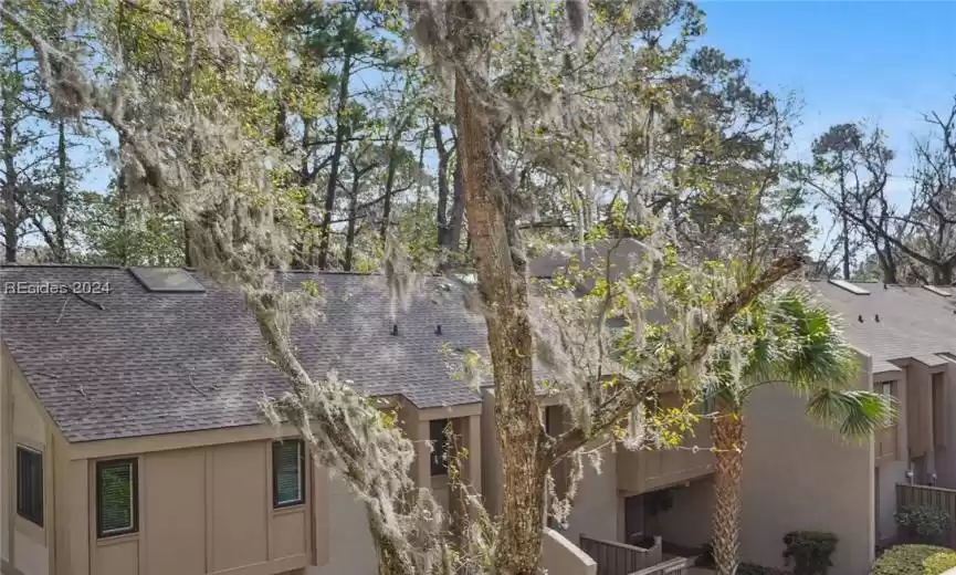 Beautiful spanish moss and newer roof added to all units.