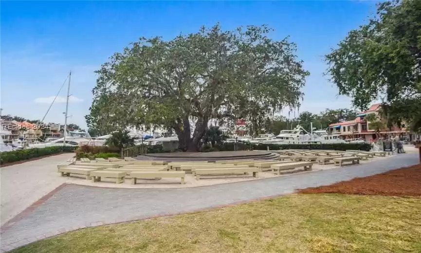 Enjoy live music at Harbourside under the Liberty Oak Tree!