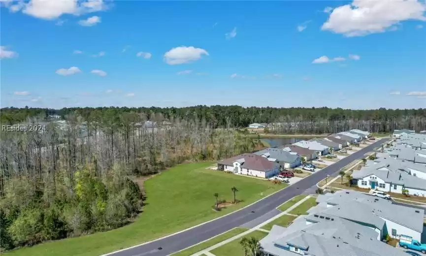 View of the wooded area across the street from the porch.