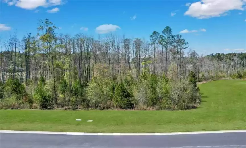 View from the front porch