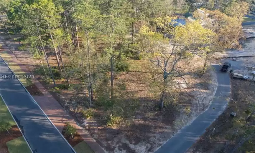 Bluffton, South Carolina 29910, ,Land,For Sale,442916