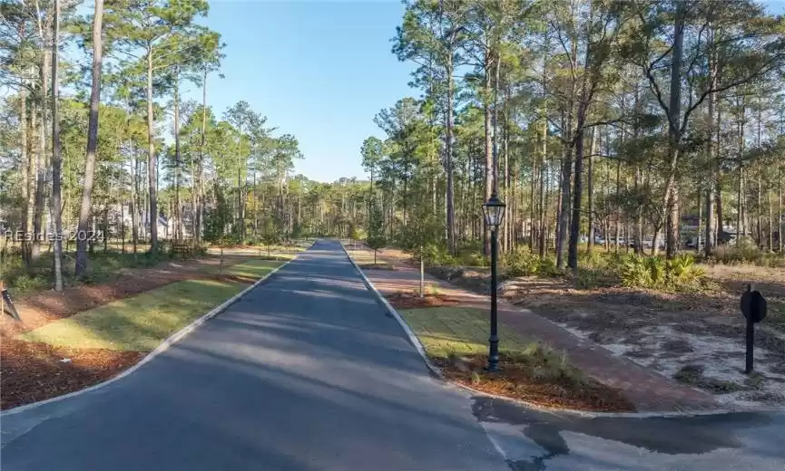 Bluffton, South Carolina 29910, ,Land,For Sale,442916