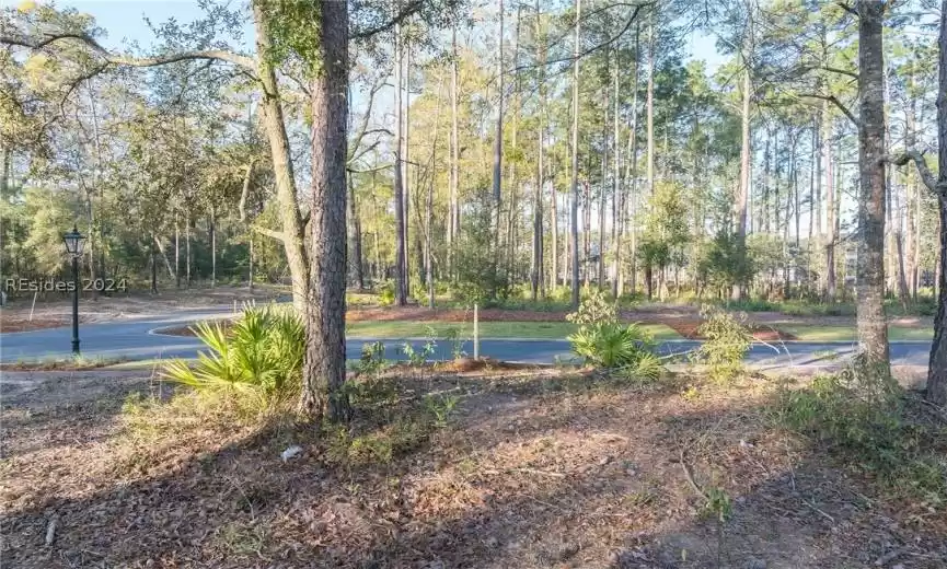 Bluffton, South Carolina 29910, ,Land,For Sale,442916