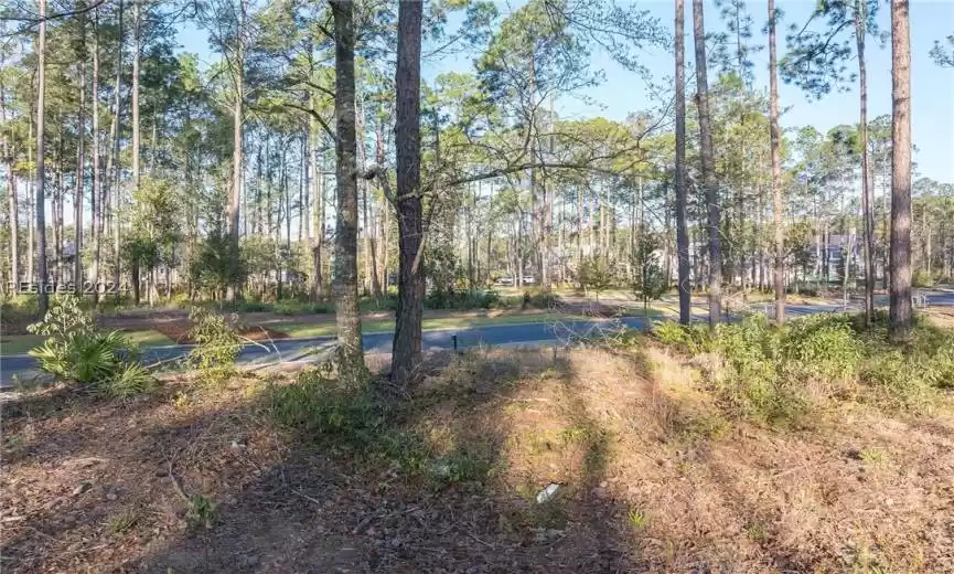 Bluffton, South Carolina 29910, ,Land,For Sale,442916