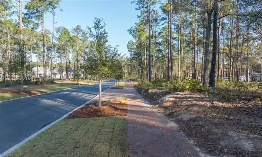 Bluffton, South Carolina 29910, ,Land,For Sale,442916