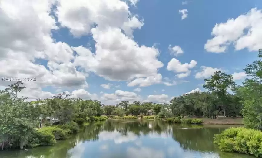 Bluffton, South Carolina 29910, ,Land,For Sale,442916