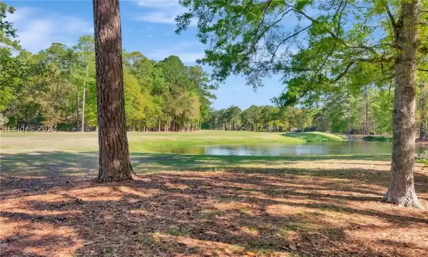 Bluffton, South Carolina 29910, 3 Bedrooms Bedrooms, ,2 BathroomsBathrooms,Residential,For Sale,442291