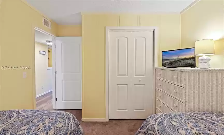 Carpeted bedroom featuring a closet and TV