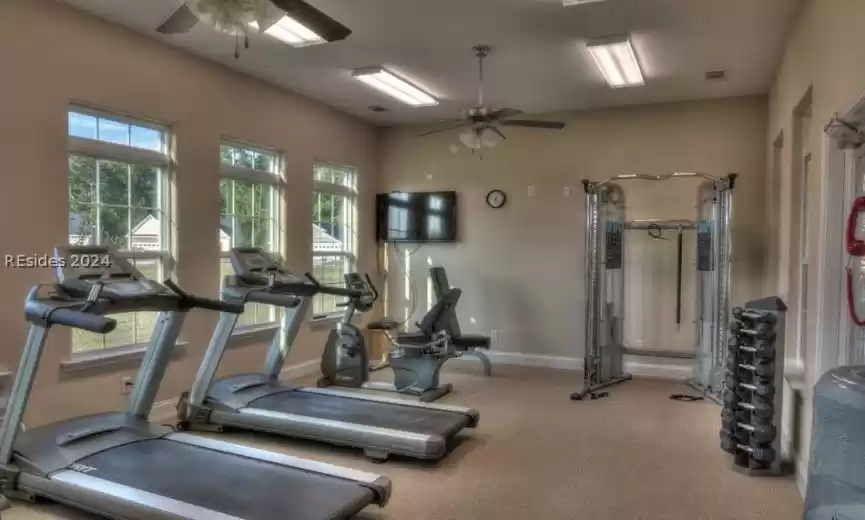 Workout area featuring light colored carpet, ceiling fan, and a wealth of natural light