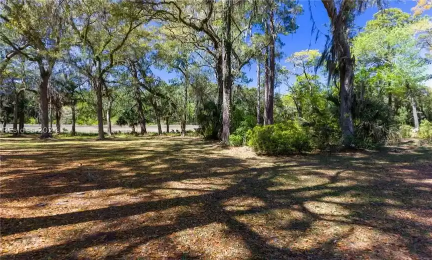 Daufuskie Island, South Carolina 29915, 2 Bedrooms Bedrooms, ,2 BathroomsBathrooms,Residential,For Sale,443148