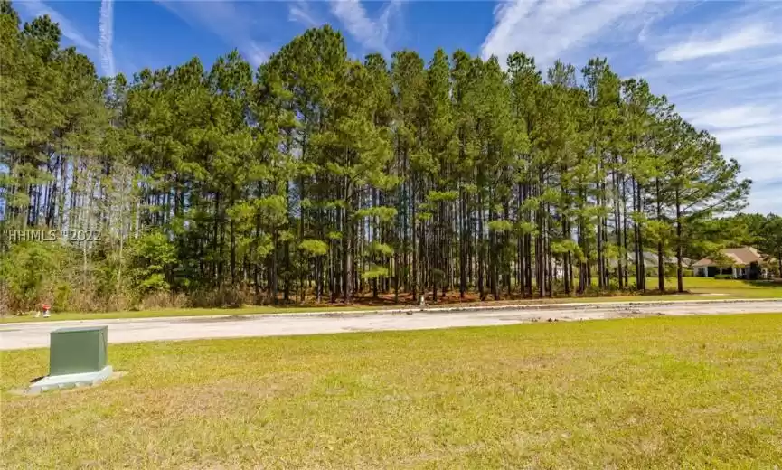 Hardeeville, South Carolina 29927, ,Land,For Sale,424220