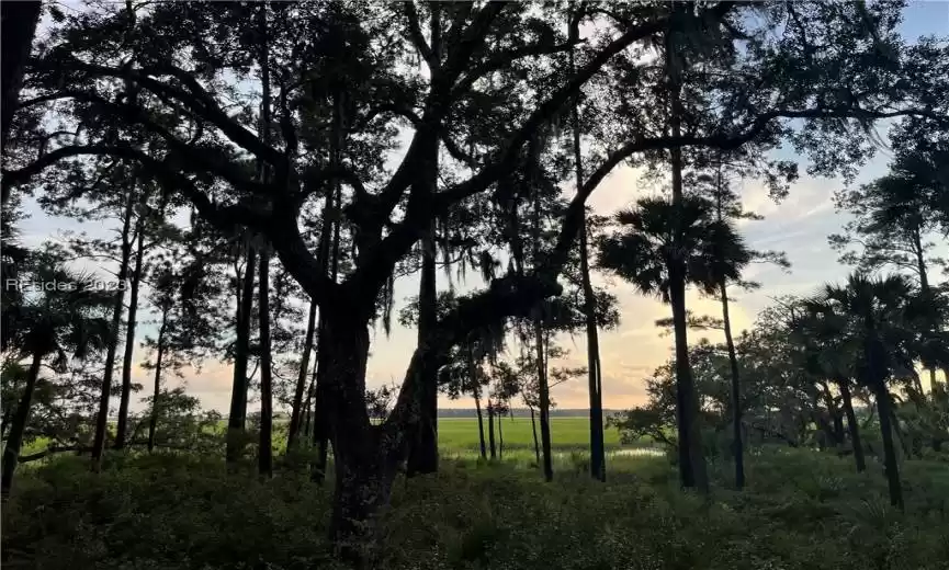 Bluffton, South Carolina 29910, ,Land,For Sale,438644