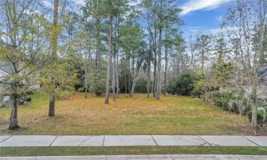 Bluffton, South Carolina 29910, ,Land,For Sale,443422