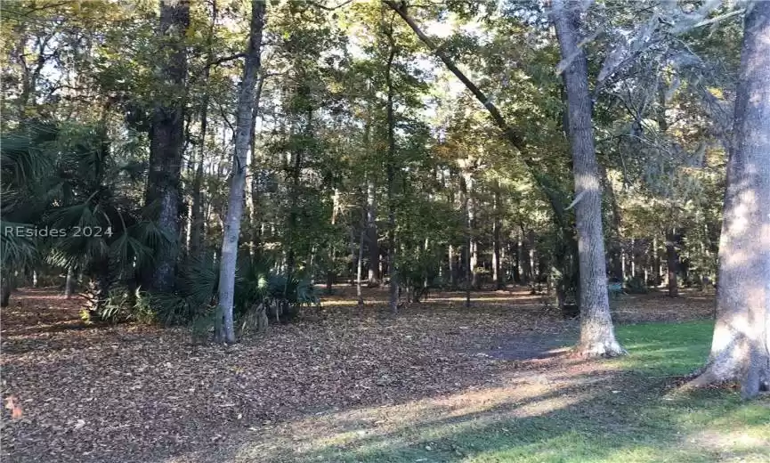 Daufuskie Island, South Carolina 29915, ,Land,For Sale,443177