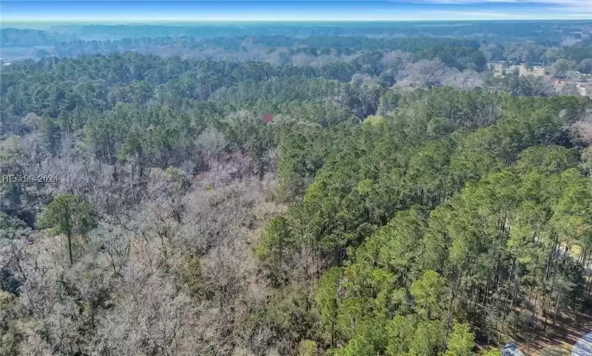 Bluffton, South Carolina 29910, ,Land,For Sale,442152