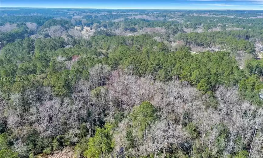 Bluffton, South Carolina 29910, ,Land,For Sale,442152