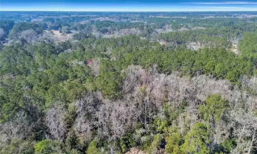 Bluffton, South Carolina 29910, ,Land,For Sale,442152