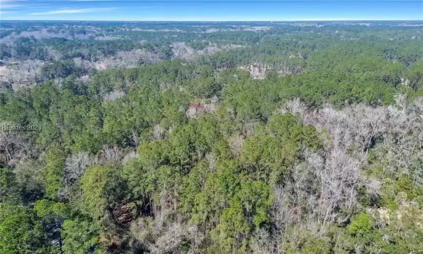Bluffton, South Carolina 29910, ,Land,For Sale,442152