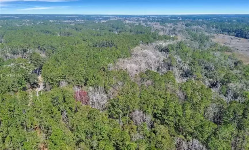Bluffton, South Carolina 29910, ,Land,For Sale,442152