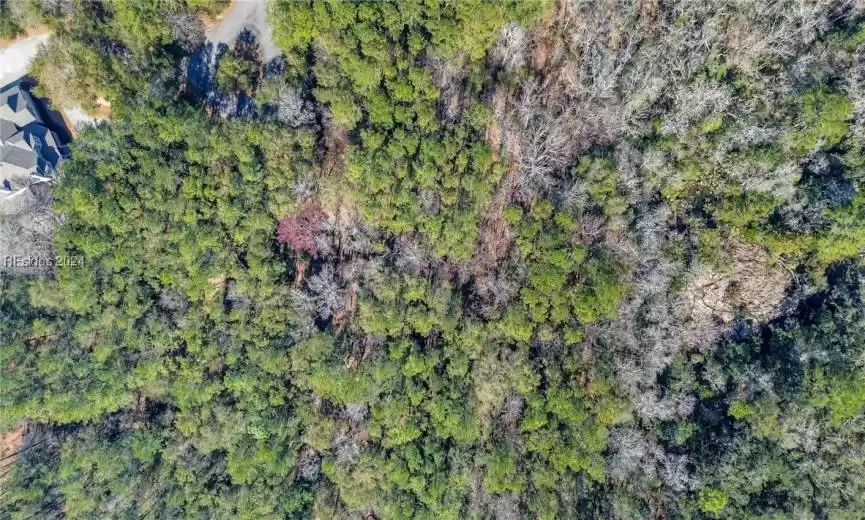 Bluffton, South Carolina 29910, ,Land,For Sale,442152