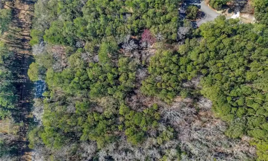 Bluffton, South Carolina 29910, ,Land,For Sale,442152