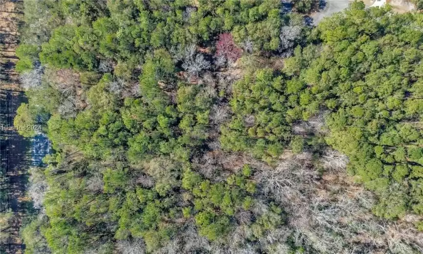 Bluffton, South Carolina 29910, ,Land,For Sale,442152