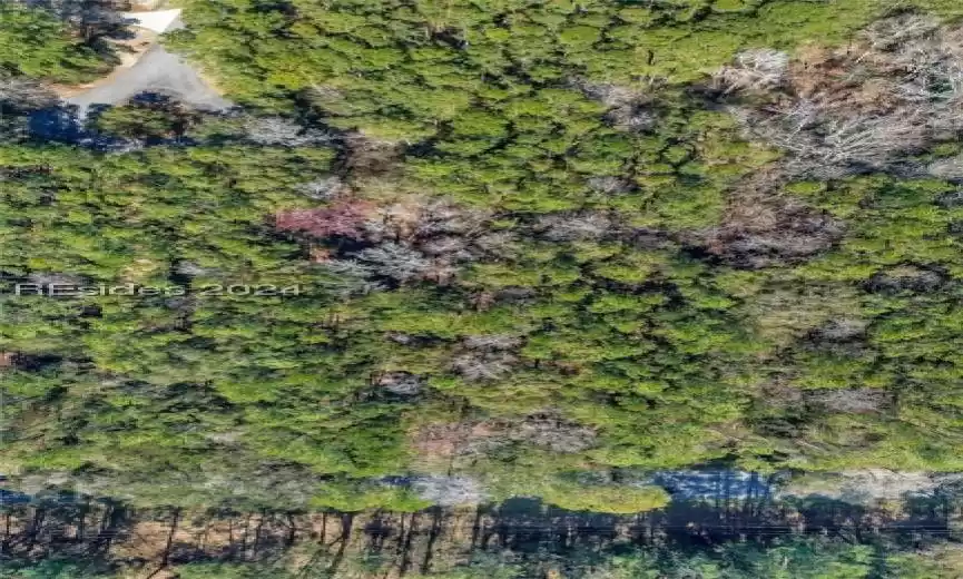 Bluffton, South Carolina 29910, ,Land,For Sale,442152