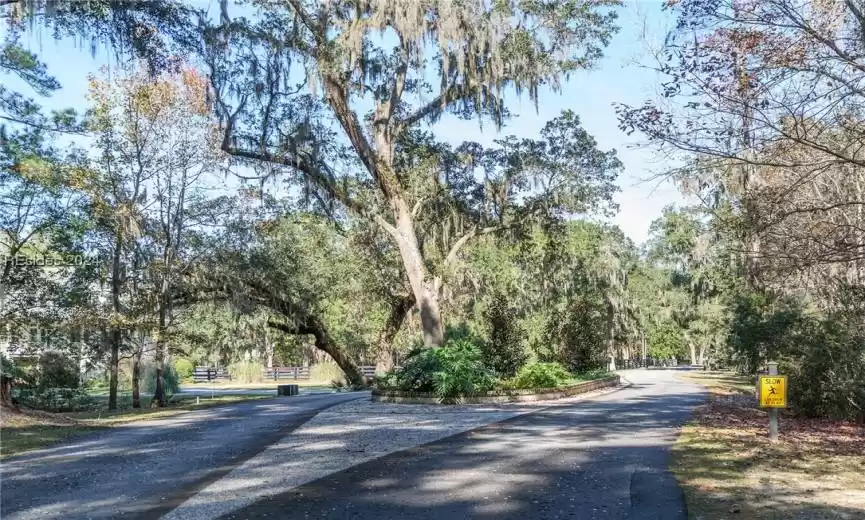 Bluffton, South Carolina 29910, ,Land,For Sale,442152