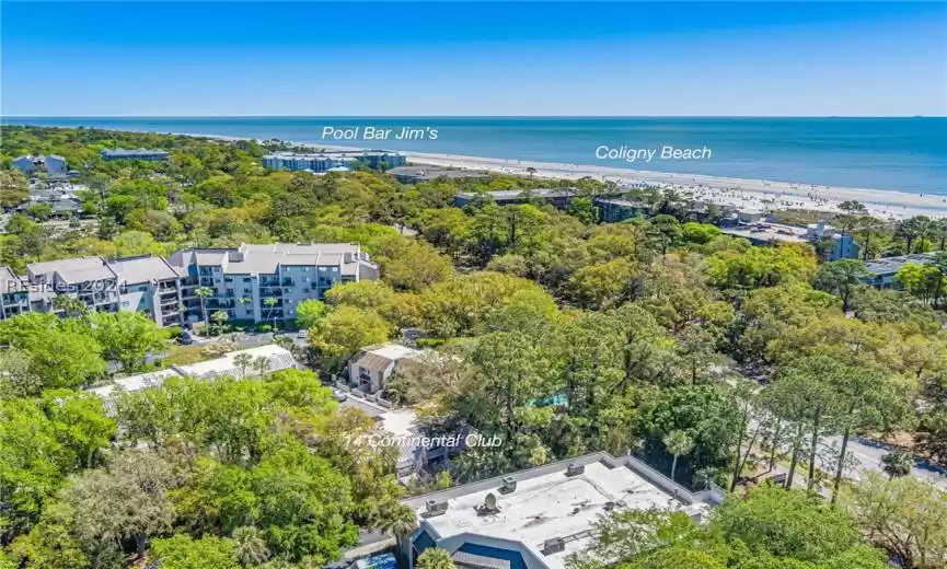 Hilton Head Island, South Carolina 29928, 2 Bedrooms Bedrooms, ,1 BathroomBathrooms,Residential,For Sale,442896