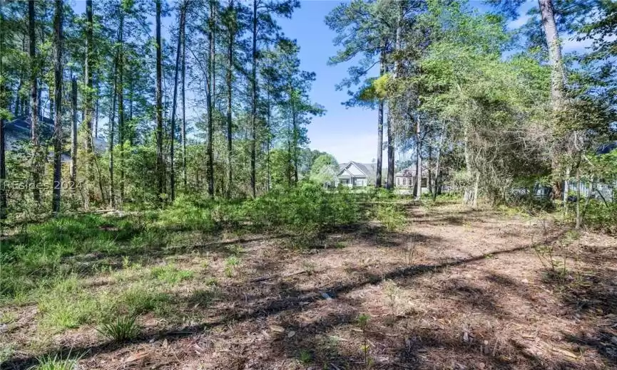 Bluffton, South Carolina 29910, ,Land,For Sale,443370