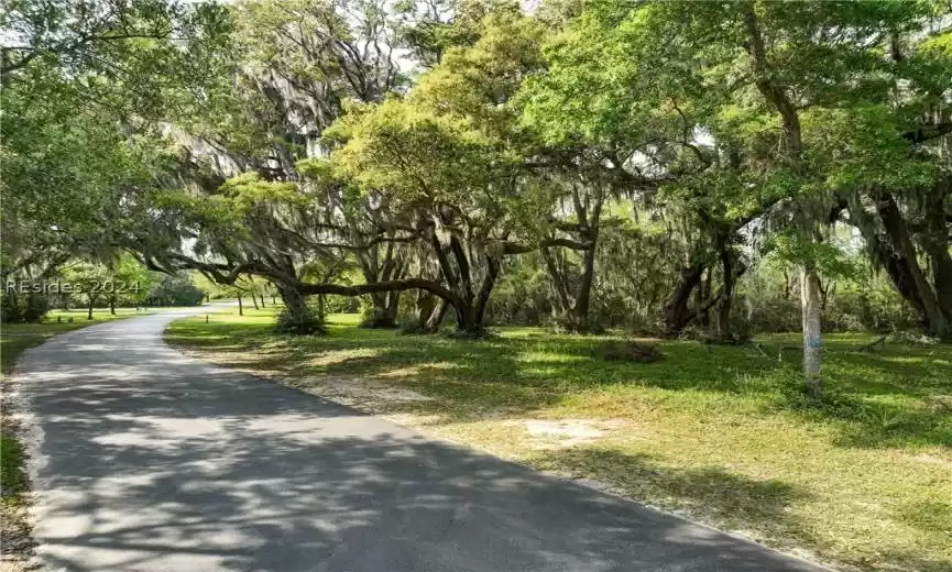 Beaufort, South Carolina 29907, ,Land,For Sale,443523