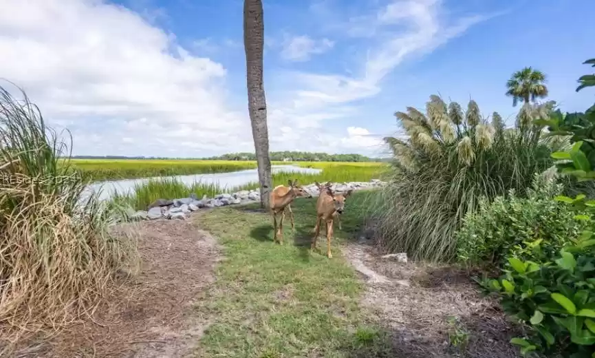 Fripp Island, South Carolina 29920, 1 Bedroom Bedrooms, ,1 BathroomBathrooms,Residential,For Sale,443558